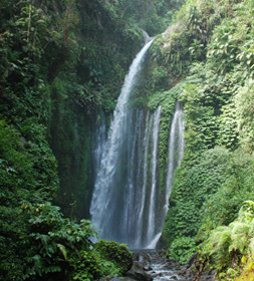 Lombok's Tiu Kelep Waterfall